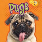 Размещение интеграции в Telegram. Логотип Телеграм канала "Мопсы | Pugs 🐶" Размещение интеграции в Telegram. Логотип Телеграм канала @pugs_dogs
