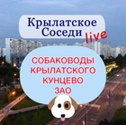 Размещение интеграции в Telegram. Логотип Телеграм канала @krylatskoe_dog
