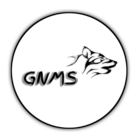 Advertising in Telegram. Telegram Channel logo @GNMS_Editz_Original