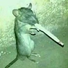 Размещение интеграции в Telegram. Логотип Телеграм канала @shit_postingg