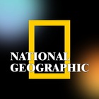 Размещение интеграции в Telegram. Логотип Телеграм канала "National Geographic" Размещение интеграции в Telegram. Логотип Телеграм канала National Geographic