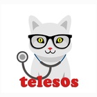Размещение интеграции в Telegram. Логотип Телеграм канала @teles0s