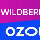 Размещение интеграции в Telegram. Логотип Телеграм канала "Находки с Wildberries и Ozon" Размещение интеграции в Telegram. Логотип Телеграм канала @nashlanawbozon