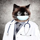 Размещение интеграции в Telegram. Логотип Телеграм канала "Medical photo album Медицина для профи врачи медики" Размещение интеграции в Telegram. Логотип Телеграм канала @medalbum