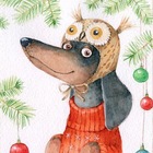 Размещение интеграции в Telegram. Логотип Телеграм канала "Таксы | Dachshund | Wienerdog" Размещение интеграции в Telegram. Логотип Телеграм канала @wienerdog