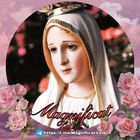 Advertising in Telegram. Telegram Channel logo "Magnificat" Advertising in Telegram. Telegram Channel logo @MagnificatVzla