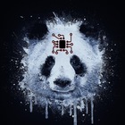 Размещение интеграции в Telegram. Логотип Телеграм канала "ADV Panda" Размещение интеграции в Telegram. Логотип Телеграм канала @adv_panda