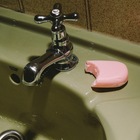 Размещение интеграции в Telegram. Логотип Телеграм канала @photopupa