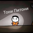 Размещение интеграции в Telegram. Логотип Телеграм канала "Тони Питони" Размещение интеграции в Telegram. Логотип Телеграм канала @toni_pitoni