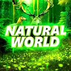 Размещение интеграции в Telegram. Логотип Телеграм канала "Natural World" Размещение интеграции в Telegram. Логотип Телеграм канала Natural World