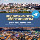 Размещение интеграции в Telegram. Логотип Телеграм канала "Недвижимость Новосибирска Live" Размещение интеграции в Telegram. Логотип Телеграм канала @nskestate