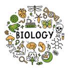 Advertising in Telegram. Telegram Channel logo "Science & Technology (Biology)" Advertising in Telegram. Telegram Channel logo @NEET_Biology_Notes_Quiz_Tricks
