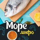 Размещение интеграции в Telegram. Логотип Телеграм канала "Море Инфо | Рецепты из морепродуктов" Размещение интеграции в Telegram. Логотип Телеграм канала @seafoodinfo