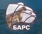Размещение интеграции в Telegram. Логотип Телеграм канала "IvanovoNEWS | Барс | Новости | Иваново" Размещение интеграции в Telegram. Логотип Телеграм канала @ivanovonewsBars