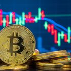 Advertising in Telegram. Telegram Channel logo "Business | Crypto | Trading™" Advertising in Telegram. Telegram Channel logo @Busines_Insight
