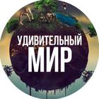 Размещение интеграции в Telegram. Логотип Телеграм канала "Удивительный мир🌍" Размещение интеграции в Telegram. Логотип Телеграм канала Удивительный мир🌍