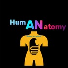 Advertising in Telegram. Telegram Channel logo "Human Anatomy | Science 🧬" Advertising in Telegram. Telegram Channel logo Human Anatomy | Science 🧬