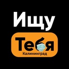 Размещение интеграции в Telegram. Логотип Телеграм канала "Ищу тебя. Калининград" Размещение интеграции в Telegram. Логотип Телеграм канала @kaliningrad_search