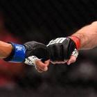 Размещение интеграции в Telegram. Логотип Телеграм канала UFC