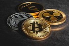 Advertising in Telegram. Telegram Channel logo "Crypto Business W🌎rld" Advertising in Telegram. Telegram Channel logo @Crypto_business_world1