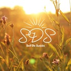 Advertising in Telegram. Telegram Channel logo "Soif de Succès" Advertising in Telegram. Telegram Channel logo @Soif_de_Succes