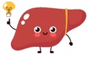 Advertising in Telegram. Telegram Channel logo "La anatomía e´ fácil" Advertising in Telegram. Telegram Channel logo @laanatomiaefacil