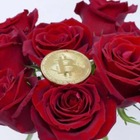 Advertising in Telegram. Telegram Channel logo "Rose Paid Crypto Free" Advertising in Telegram. Telegram Channel logo @viprose