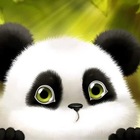 Advertising in Telegram. Telegram Channel logo "Crypto Panda" Advertising in Telegram. Telegram Channel logo @wildcryptobox