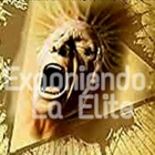 Advertising in Telegram. Telegram Channel logo "Exponiendo La Elite" Advertising in Telegram. Telegram Channel logo @ExponiendoLaElite