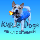 Размещение интеграции в Telegram. Логотип Телеграм канала @KMRDogs