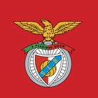 Advertising in Telegram. Telegram Channel logo @benfica