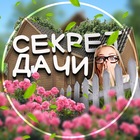 Размещение интеграции в Telegram. Логотип Телеграм канала "Секрет дачи | Дом и Сад" Размещение интеграции в Telegram. Логотип Телеграм канала Секрет дачи | Дом и Сад
