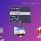 Advertising in Telegram. Telegram Channel logo @stalkerportal1