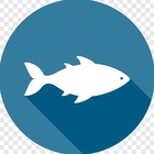 Размещение интеграции в Telegram. Логотип Телеграм канала @rybalka_vrn