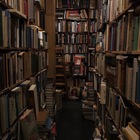 Размещение интеграции в Telegram. Логотип Телеграм канала "лучшие книги ♡" Размещение интеграции в Telegram. Логотип Телеграм канала @thebestbooksn