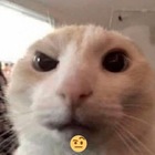 Размещение интеграции в Telegram. Логотип Телеграм канала "Пикчи разной степени абсурдности" Размещение интеграции в Telegram. Логотип Телеграм канала @picchiiiiii