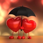Advertising in Telegram. Telegram Channel logo "LOVE STATUS VIDEOS || HD STATUS❤️" Advertising in Telegram. Telegram Channel logo @Love_Status_Videos