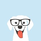 Размещение интеграции в Telegram. Логотип Телеграм канала @pesel_fact