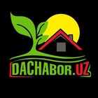 Advertising in Telegram. Telegram Channel logo "Dachabor.uz" Advertising in Telegram. Telegram Channel logo @dachabor