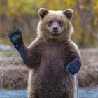 Размещение интеграции в Telegram. Логотип Телеграм канала "КРАСИВЫЕ КАДРЫ" Размещение интеграции в Telegram. Логотип Телеграм канала @natureofrussiaru