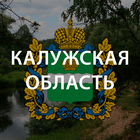 Размещение интеграции в Telegram. Логотип Телеграм канала "Калуга. Что произошло?" Размещение интеграции в Telegram. Логотип Телеграм канала @kaluga_segodnya