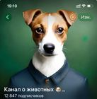 Размещение интеграции в Telegram. Логотип Телеграм канала "Животные" Размещение интеграции в Telegram. Логотип Телеграм канала @pets_ellidi