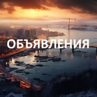 Размещение интеграции в Telegram. Логотип Телеграм канала @vladivostokbarahol