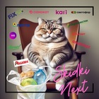 Размещение интеграции в Telegram. Логотип Телеграм канала @skidki_nextchat