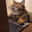 Размещение интеграции в Telegram. Логотип Телеграм канала @teperyaunderstand