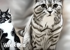 Размещение интеграции в Telegram. Логотип Телеграм канала "Wikikotia" Размещение интеграции в Telegram. Логотип Телеграм канала @wikikotia