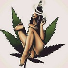 Advertising in Telegram. Telegram Channel logo "Dancehall 360๐ฅ" Advertising in Telegram. Telegram Channel logo @dancehallforever