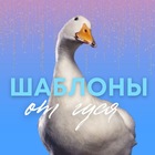 Размещение интеграции в Telegram. Логотип Телеграм канала @gus_content