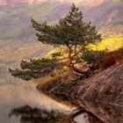 Размещение интеграции в Telegram. Логотип Телеграм канала @vpsyrazvitie