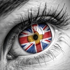 Размещение интеграции в Telegram. Логотип Телеграм канала @smotrizapominy